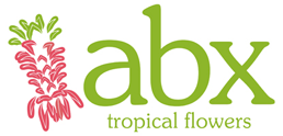 abx tropical flowers